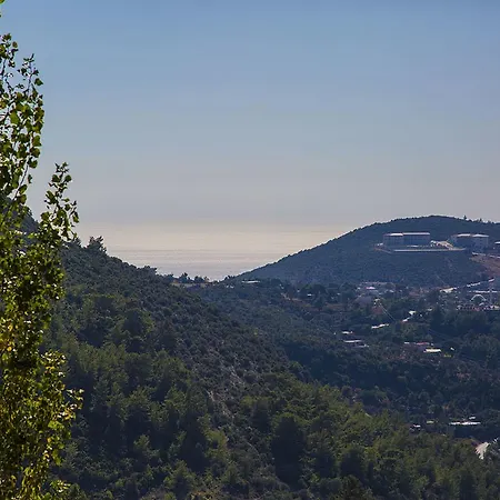 Muhar Uzumlu (Mediterranean)